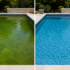 From Green Pool to Clean Pool 70x70